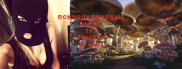 твердый Беломорск
