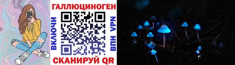 Галлюциногенные грибы Magic Shrooms  mega ONION  Бородино 